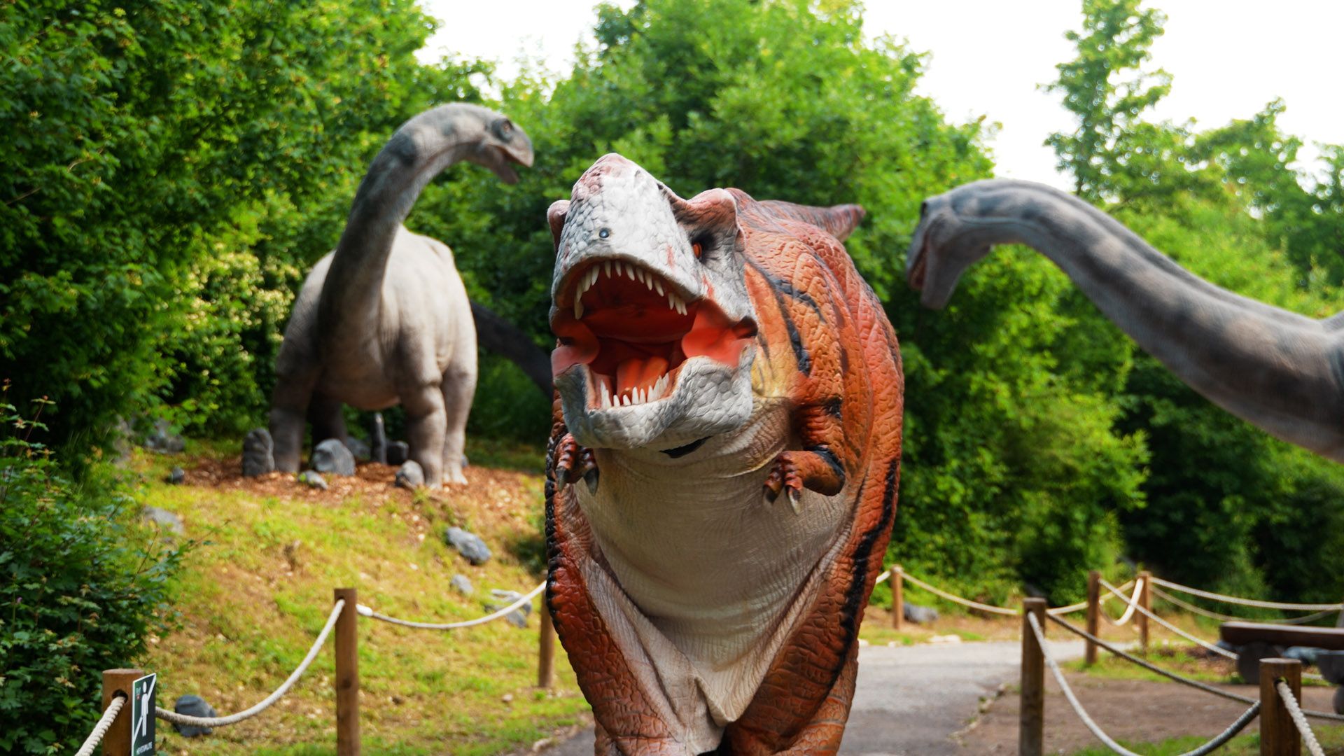 dinolive 1