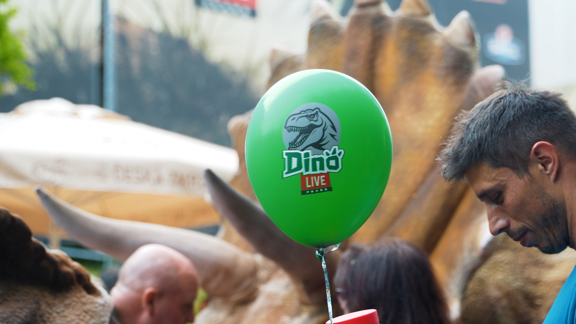 dinolive 13