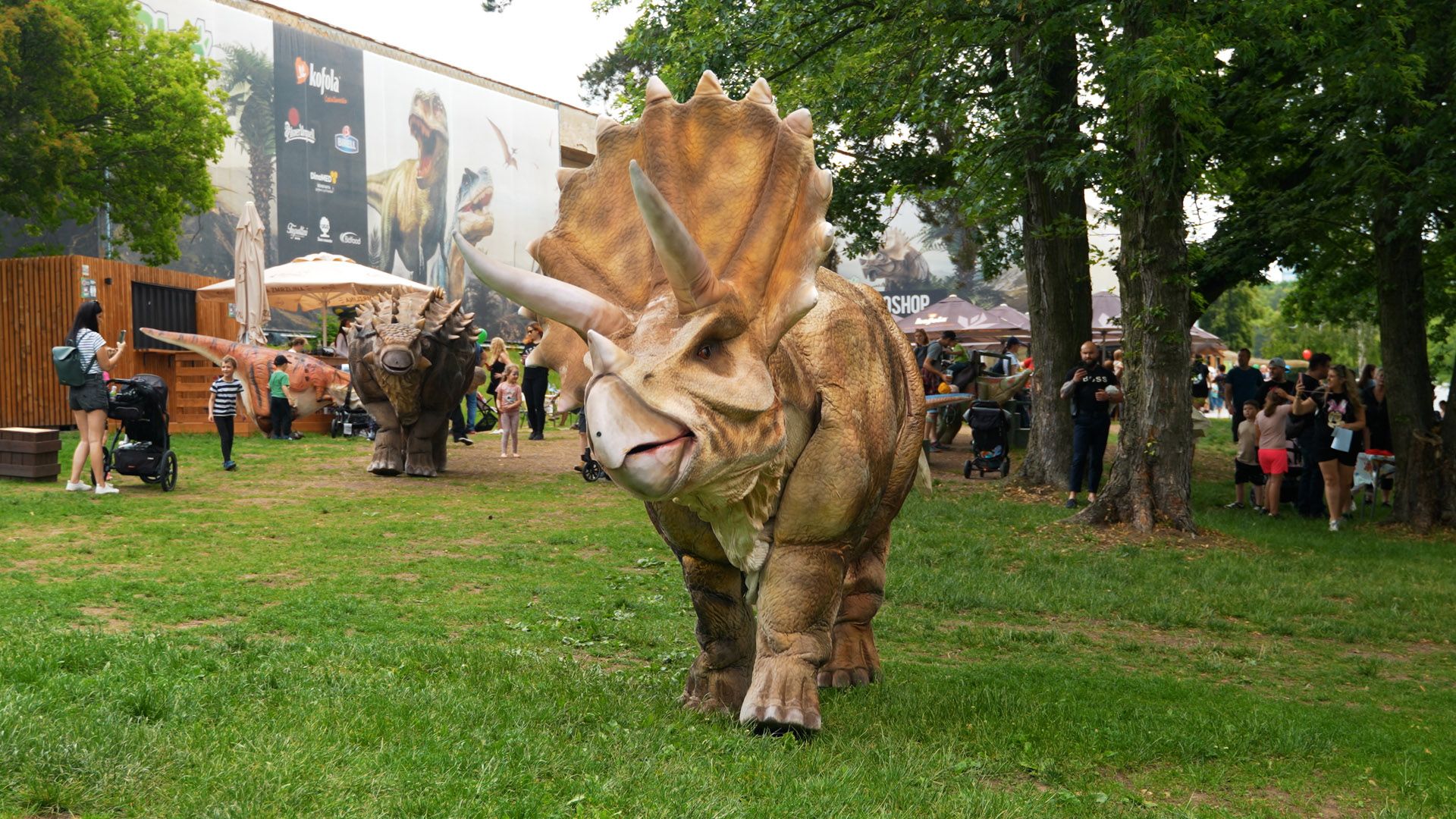 dinolive 15