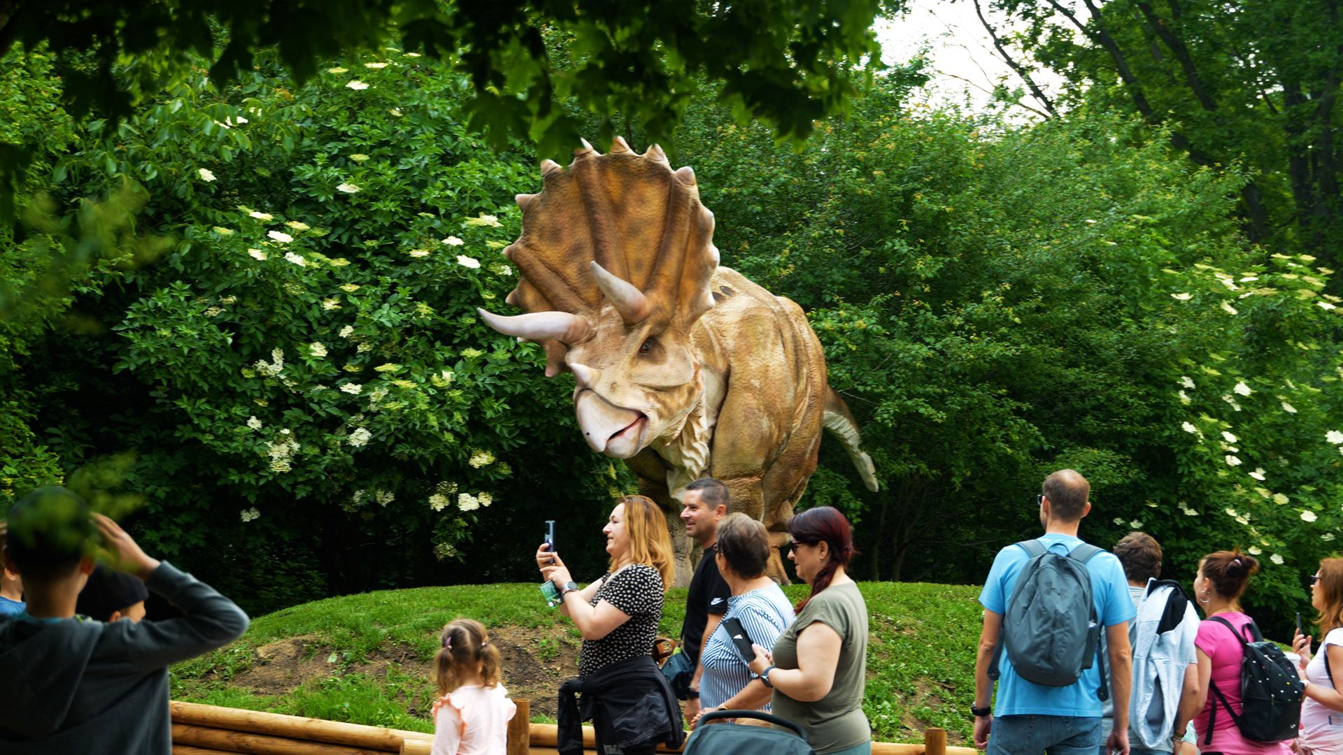 dinolive 16