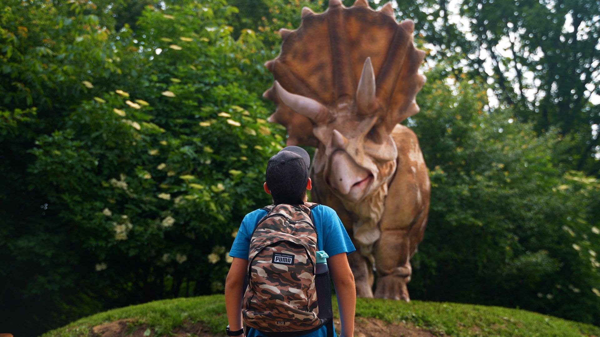 dinolive 17