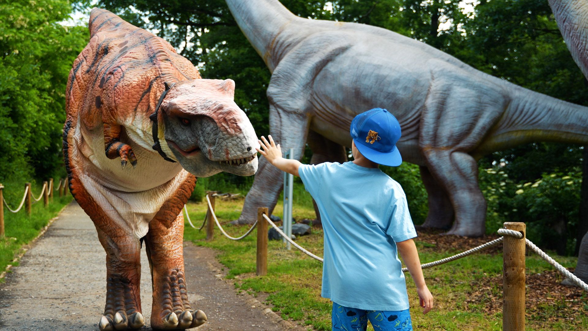 dinolive 2