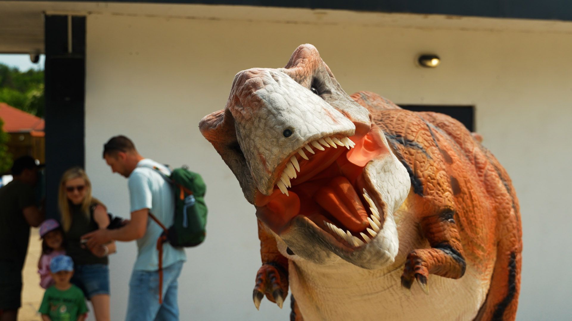 dinolive 7