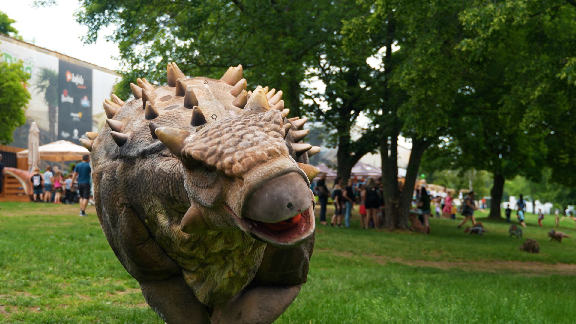 dinolive 8