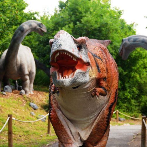 DinoLive-1