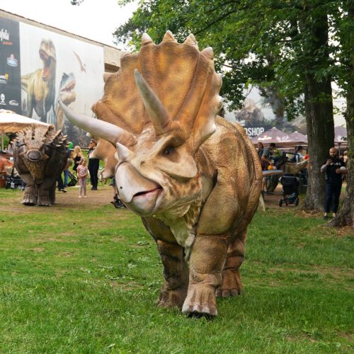DinoLive-15
