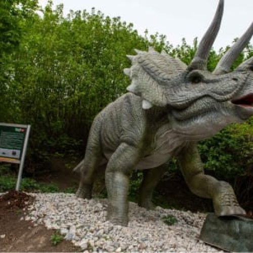 životní velikost dinosaurů