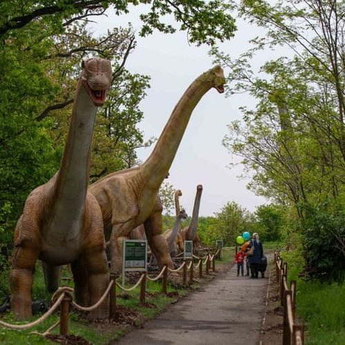naučná dinosauří stezka DinoLive